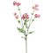 Allstate 27.5" Pink Baby Cosmos Artificial Decorative Floral Spray